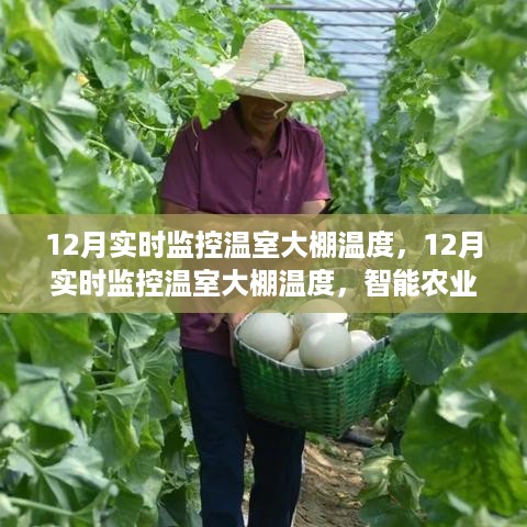 智能农业温室大棚温度实时监控与案例分析，12月温度管理策略解析