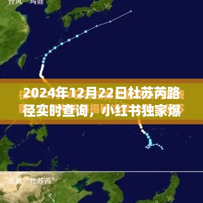 小红书独家爆料，杜苏芮路径实时追踪与解析（2024年12月22日实时更新）