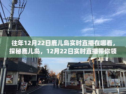 探秘鹿儿岛，12月22日实时直播领略小巷深处的独特风情