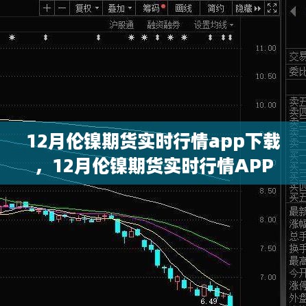 12月伦镍期货实时行情APP下载与深度解读，全面把握市场动态