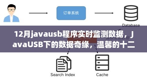 JavaUSB下的数据实时监测奇缘，温馨的十二月数据监测之旅