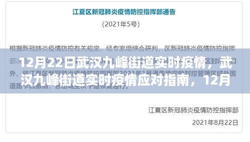 武汉九峰街道实时疫情动态及应对指南，12月22日的防护与行动步骤