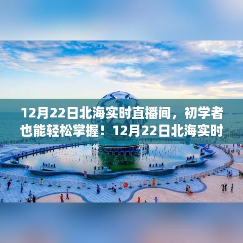 初学者指南，北海实时直播间使用步骤详解（12月22日）