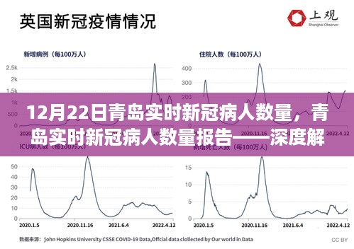 青岛实时新冠病人数量报告，深度解析与科普分享