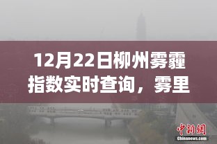 柳州雾霾日温情故事，雾里寻友，实时雾霾指数查询（12月22日）