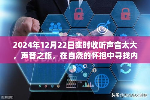 声音之旅，在自然的怀抱中探寻内心的宁静与和谐——2024年12月22日实时声音记录