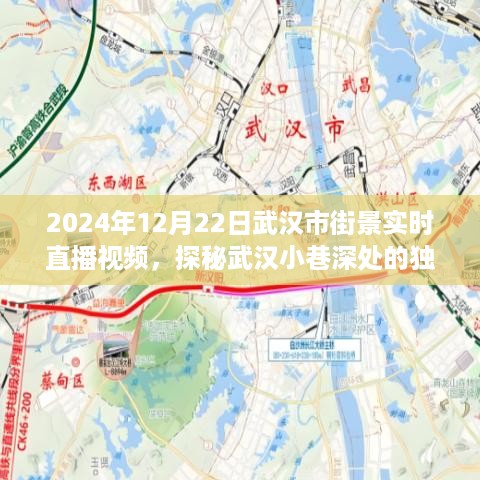 探秘武汉小巷深处的独特风味，实时街景直播惊喜之旅（2024年12月22日）