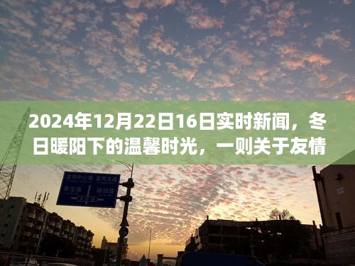 冬日暖阳下的友情时光，一则关于陪伴的日常新闻故事，实时报道在温馨的日常里