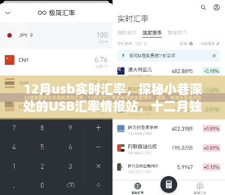 探秘小巷深处的USB汇率情报站，独家解析十二月实时汇率