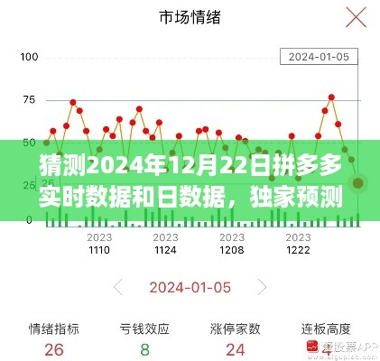 独家预测揭秘，拼多多未来走向深度解读——2024年12月22日实时数据与日数据分析报告预测速递