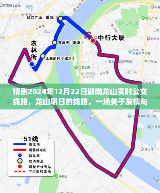 关于龙山明日的公交猜想，友情与想象的温馨旅程在湖南龙山实时线路揭晓之际