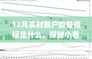 揭秘十二月实时散户数量指标背后的故事，小巷深处的独特小店的探索之旅