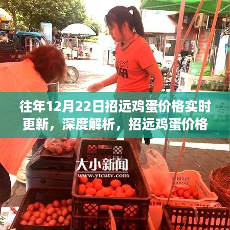 往年12月22日招远鸡蛋价格实时更新深度解析及市场表现与用户体验洞察报告