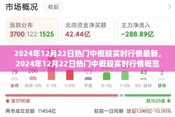 2024年12月22日热门中概股实时行情概览与最新动态