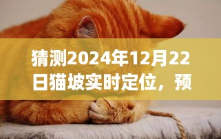 2024年猫坡实时定位展望，预测未来发展趋势