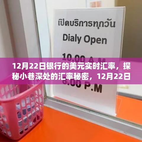 揭秘探秘小巷深处的汇率秘密，12月22日美元实时汇率之旅