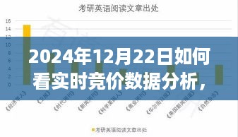 探索自然美景之旅，实时竞价数据分析下的心灵寻觅与宁静港湾体验（2024年12月22日）