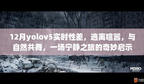 逃离喧嚣，与自然共舞，探索yolov5实时性的奇妙启示之旅