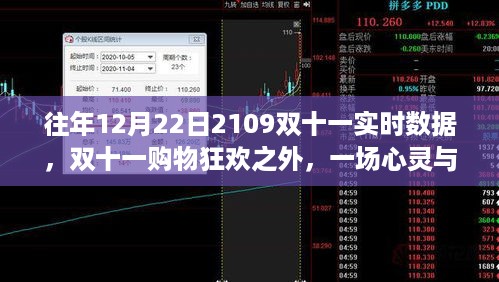 双十一狂欢之外的心灵与自然美景之旅，历年12月22日数据揭秘