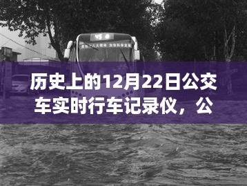 12月22日公交车行车记录仪下的温馨日常与奇遇