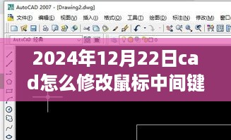 掌握CAD操作技巧，如何在特定日期修改鼠标中间键实现实时平移功能（附教程）