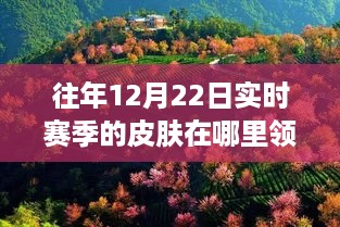 冬至探索之旅，实时赛季皮肤领取与心灵宁静的寻回之旅