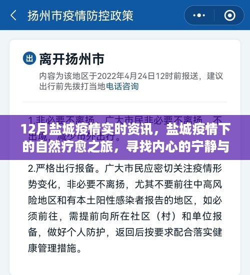 盐城疫情下的自然疗愈之旅，寻找内心的宁静与力量实时资讯报道