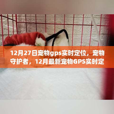 宠物GPS实时定位器深度评测，守护宠物的守护者，最新宠物GPS定位器性能解析