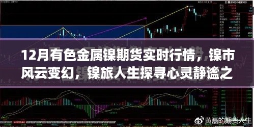 12月有色金属镍期货实时行情解析，镍市风云与心灵静谧之旅