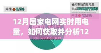 如何获取并分析12月国家电网实时用电量数据，初学者与进阶用户指南