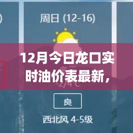 最新龙口油价表全攻略，初学者与进阶用户适用的油价查询与理解