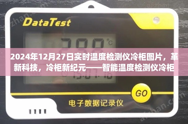 革新科技，智能温度检测仪冷柜体验报告，冷柜新纪元——2024年12月27日实时温度检测仪冷柜图片展示