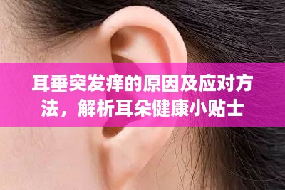 耳垂突发痒的原因及应对方法，解析耳朵健康小贴士