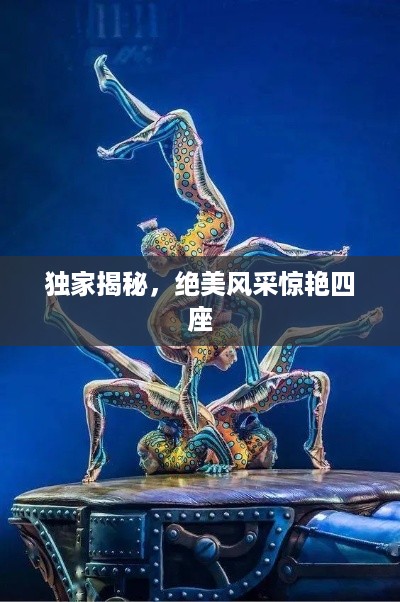 独家揭秘，绝美风采惊艳四座