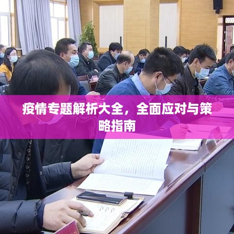 疫情专题解析大全，全面应对与策略指南