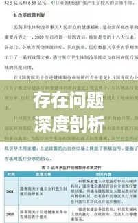 存在问题深度剖析报告，揭示真相，寻求解决之道