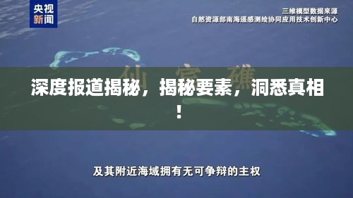 深度报道揭秘，揭秘要素，洞悉真相！