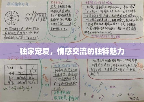 独家宠爱，情感交流的独特魅力