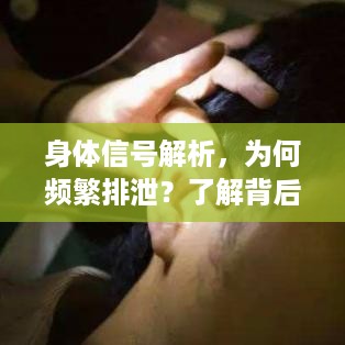 身体信号解析，为何频繁排泄？了解背后的原因与重要性