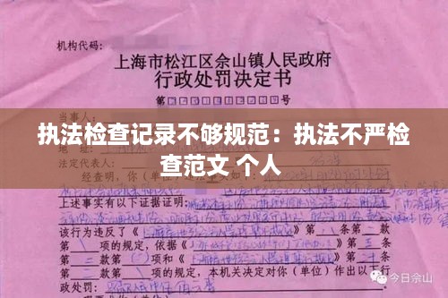 执法检查记录不够规范：执法不严检查范文 个人 