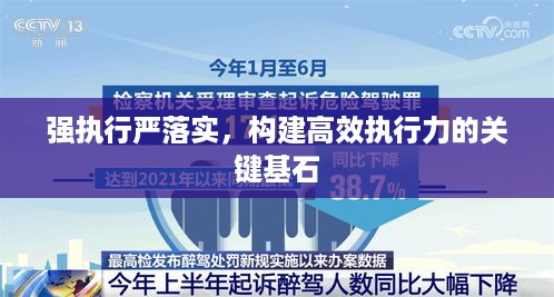 强执行严落实，构建高效执行力的关键基石