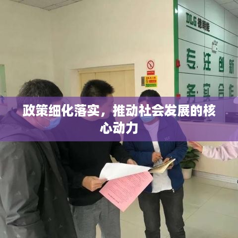 政策细化落实，推动社会发展的核心动力