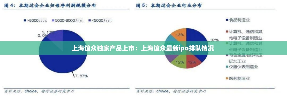 上海谊众独家产品上市：上海谊众最新ipo排队情况 