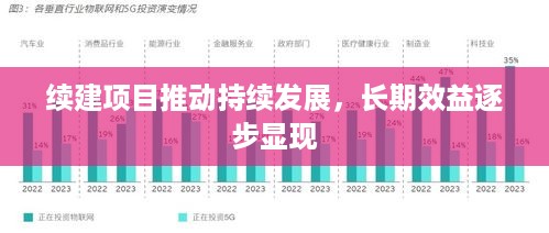 续建项目推动持续发展，长期效益逐步显现