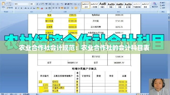 农业合作社会计规范：农业合作社的会计科目表 