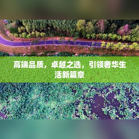 高端品质，卓越之选，引领奢华生活新篇章