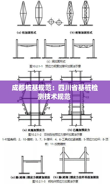 成都桩基规范：四川省基桩检测技术规范 