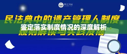 鉴定落实制度情况的深度解析