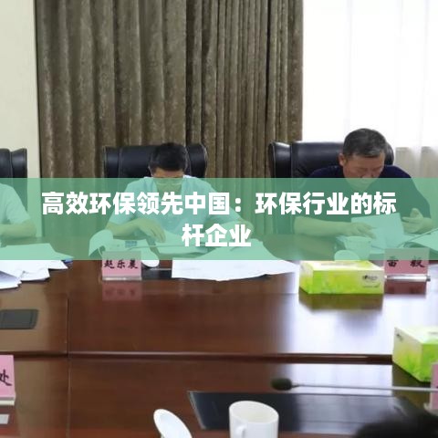 高效环保领先中国：环保行业的标杆企业 