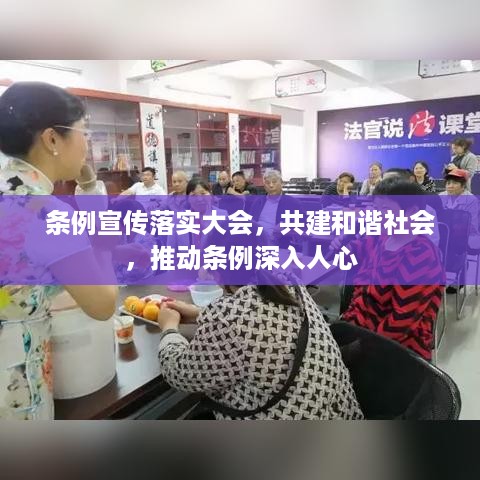 条例宣传落实大会，共建和谐社会，推动条例深入人心